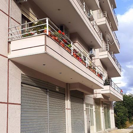 Drini Apartments Përmet Екстериор снимка